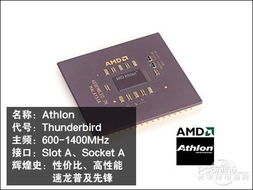 Intel也曾敗過 回憶AMD史上的經典CPU與那段獨特的轉接卡時代